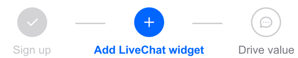 You are on "Add LiveChat widget" step